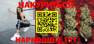 МДПВ Краснознаменск