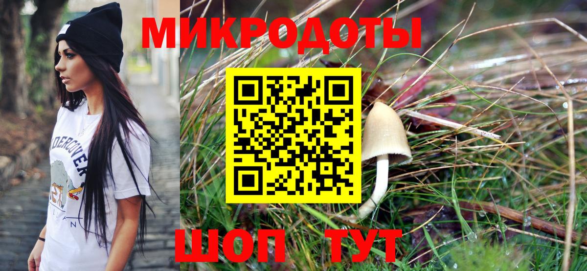 Псилоцибиновые грибы Psilocybine cubensis Хасавюрт